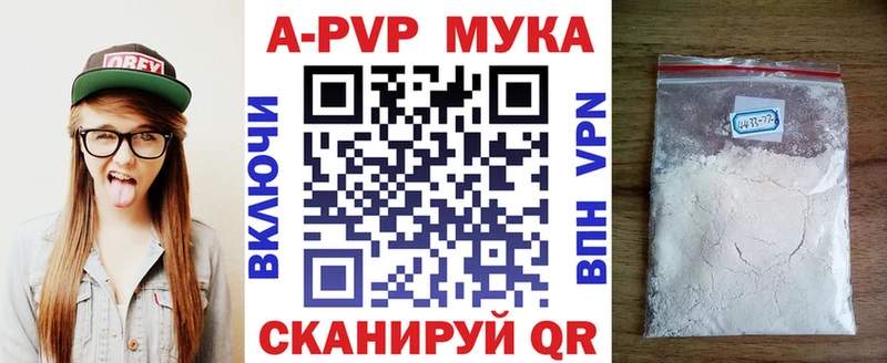 Alfa_PVP СК  ссылка на мегу вход  Киренск 