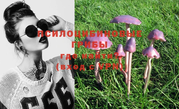 PSILOCYBIN Абинск