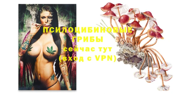 гидра Абдулино