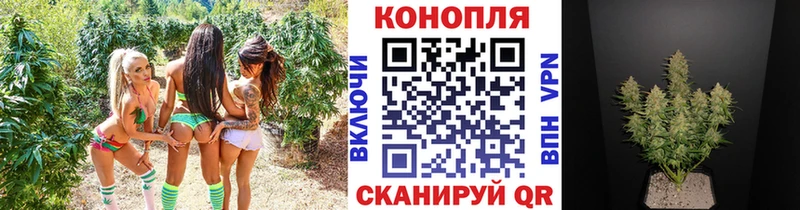 Канабис гибрид  Киренск 